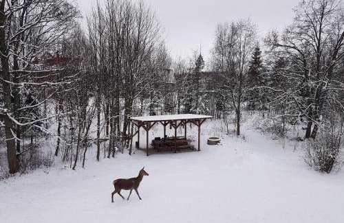 Tatranska Lomnica Cabin | 150 m² Lodge ∙ 5 bedrooms ∙ 13 guests