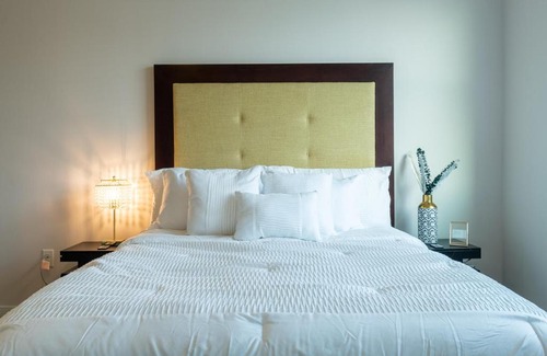 Downtown Baltimore Apartment | 1BR Luxe Penthouse Apt W FREE Parking