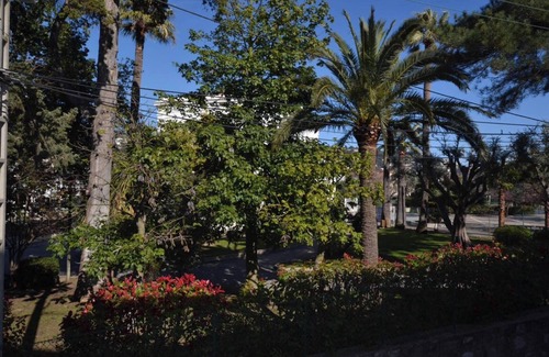 Prado - Republique Apartment | 2/3p 900m from the Croisette, in the