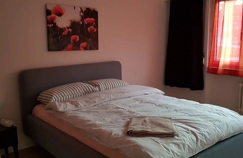 Lucerne Apartment | 2.5 Rooms Furnished Apartment in Luzern Nr 12