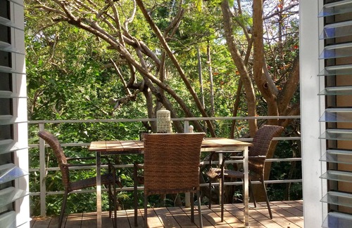 Isabel II Apartment | 2 Bedroom 1 1/2 Bath Charming In Town Apartment with Great Jungle View Deck!