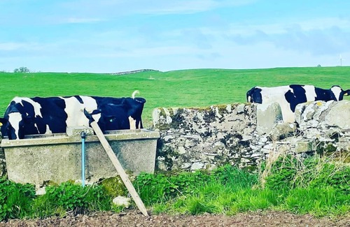 Newton Stewart Cottage | 2 bedroom accommodation in Newton Stewart, nr Whithorn