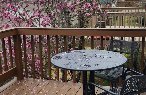 Powell Condo | 2-bedroom condo just remodeled. 1 car garage. Includes utilities, wifi, tv