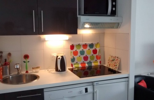 Villeneuve Loubet Beach Apartment | 2 P MARINA BAY OF ANGELS, magnificent sea views and direct access to the beach