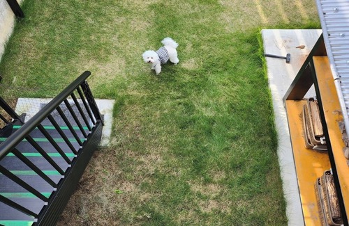 Shikokuchuo RV Rental | 2 pet dogs small and medium size Trailer house /Shikokuchuo City Ehime