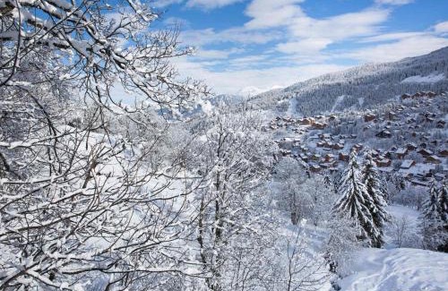 Meribel-Mottaret Apartment | 2 PIECES DE CHARME, EXPOSITION SUD, SUR LES PISTES - FR-1-182-51