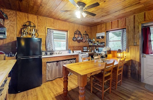 Bronson Cabin | 2 riverfront cabins with large yard, grill, firepit, canoe, & private W/D