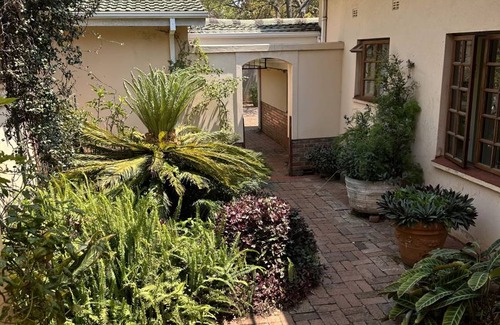 Harare Apartment | 20 m² Apartment ∙ 2 guests
