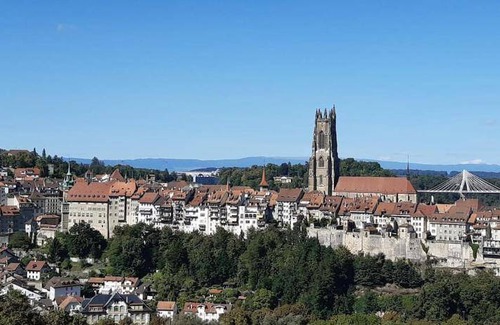 Fribourg Apartment | 20 m² Apartment ∙ 1 bedroom ∙ 2 guests