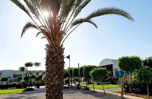Bafra Apartment | 20% OFF : Stunning Penthouse Apt on Private Beach; Fully Kitted Gym & Sauna