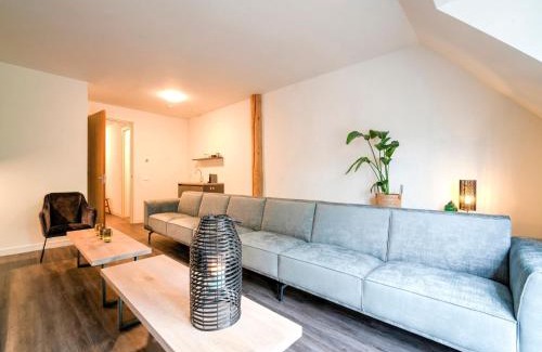 Noardburgum House | 20 pax Farmhouse in Noardbergum with hottub and pub