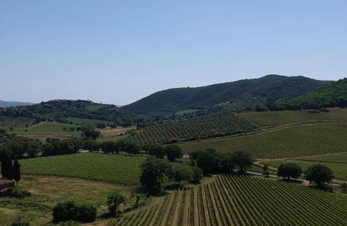 Montalcino Apartment | 21 m² Apartment ∙ 3 guests