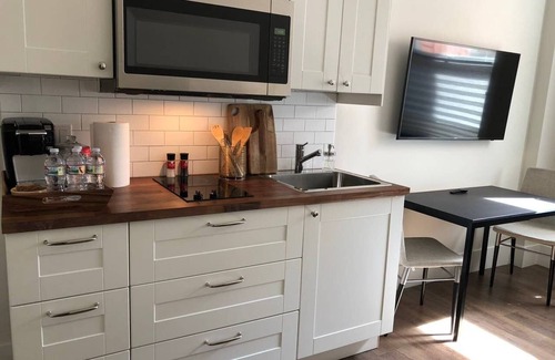 Downtown San Jose Apartment | 212-Trendy 1 Bedroom Apt in Downtown San Jose City