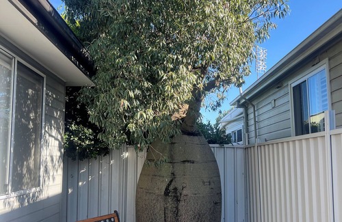 Mayfield Cottage | 21A Boab Cottage