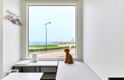 Himi Other | 23 m² Camping ∙ 1 bedroom ∙ 4 guests