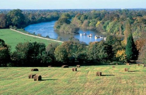 Twickenham Riverside Apartment | 24 m² Apartment ∙ 1 bedroom ∙ 2 guests
