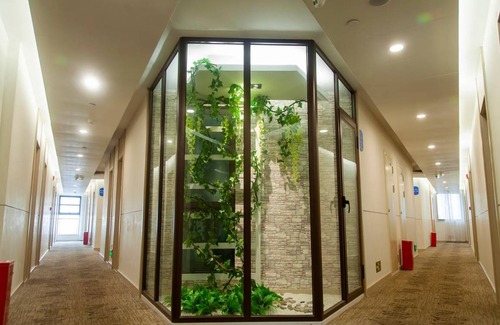 Dengfeng Hotel | 24 m² Hotel ∙ 3 guests