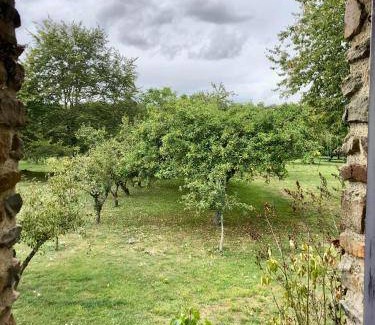 Gennes-sur-Glaize Bed & Breakfast | 25 m² Bed and breakfast ∙ 2 guests