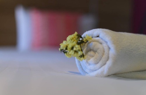 Pak Nakhon House | 25 m² Motel ∙ 3 guests