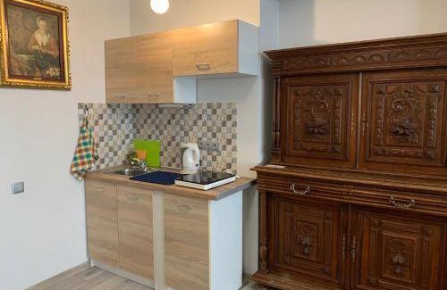 Old Town Apartment | 25 m² Serviced apartment ∙ 3 guests