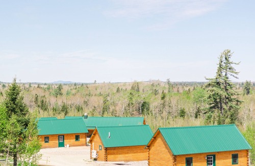 Columbia Falls Cabin | #27 - Flagpole View Cabins - King Plus Cabin