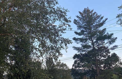 Lone RV Rental | 29 Beautifully Raw Acres to enjoy!!