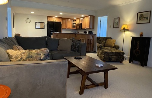Stratton Mountain Condo | 2B/2b Family friendly condo in Stratton Landmark
