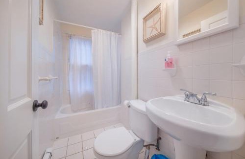 Roxbury Apartment | 2BD Modern and Spacious Apt in the Heart of Boston