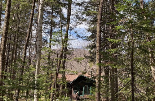 North River Cabin | 3-Acres Adirondack Cabin: private beach, sauna room, pool table