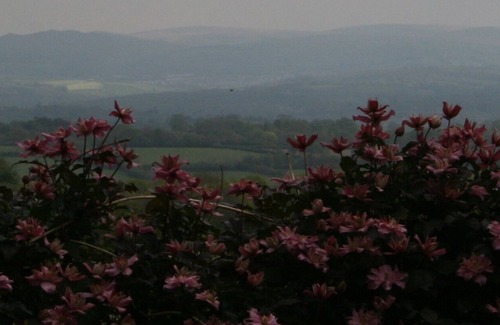 Winkleigh Cottage | 3-bed luxury cottage in unspoilt Tarka & War Horse country. Near RHS Rosemoor