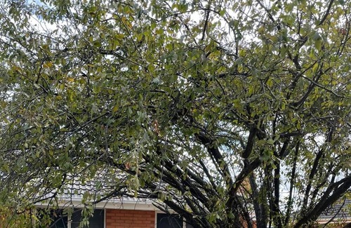 Tullamarine House | 3 Bed Room Family Home next to Melbourne Airport