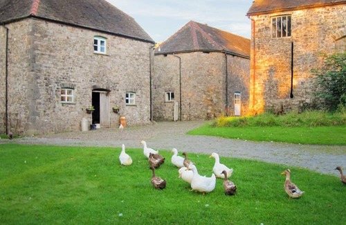 Llandybie Cottage | 3 bedroom accommodation in Llandybie