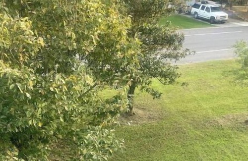Nashville Condo | 3 Bedroom Condo Near Lake!