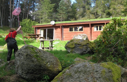 Blairgowrie Cabin | 3-bedroom log house set in woodland in the heart of Highland Perthshire