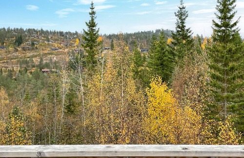Aseral House | 3 bedroom lovely home in åseral
