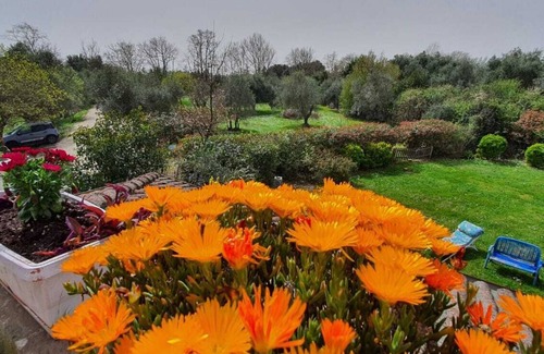 Campagnano di Roma House | 3 Bedroom Private vacation home in Campagnano di Roma