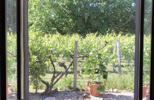 Floirac House | 3 bedroomed house with pool - a little bit of French tranquillity