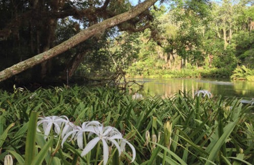 Chassahowitzka House | 3 Br 2 Ba Home On The Water in Chaz-Access to River-Springs-Gulf of Mexico