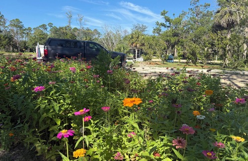 Steinhatchee House | 3 large RV sites with awesome lake for FUN and scallop season memories!