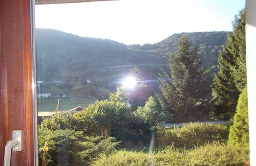 La Bresse Apartment | 3-room apartment in "Les Pommes de Pin" chalet, with terrace and garden