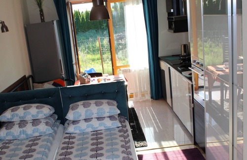 Stare Miasto District Apartment | 3- STUDIO features both WiFi and private parking free of charge.