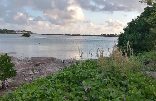 Hithadhoo Hotel | 30 m² Hotel ∙ 4 guests