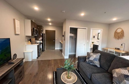 Logan Square Apartment | 303 Cozy and modern 1BR apartment in center City