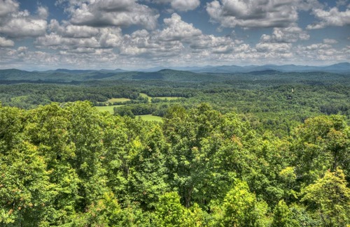 Mineral Bluff Cabin | 313 m² Cabin ∙ 4 bedrooms ∙ 10 guests