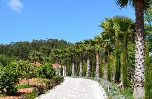 Carvalhal Benfeito House | 32 m² Farmhouse ∙ 4 guests