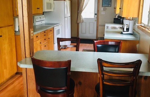 Rochert Cabin | 320' of sandy shore - privacy + pontoon available