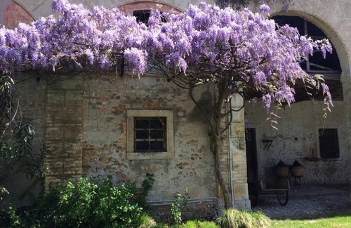 Gonars House | 350 m² House ∙ 3 bedrooms ∙ 6 guests