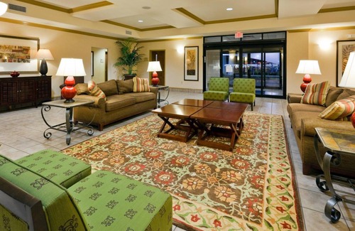 Pell City Hotel | 36 m² Hotel ∙ 127 guests
