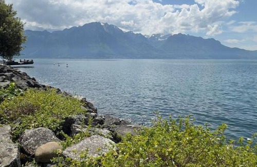 Montreux City Centre Apartment | 39 m² Apartment ∙ 1 bedroom ∙ 4 guests