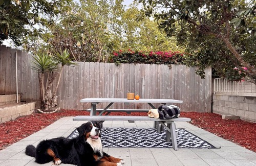 Clairemont Mesa House | 4 Bed 2 Bath House Near Everything in San Diego.